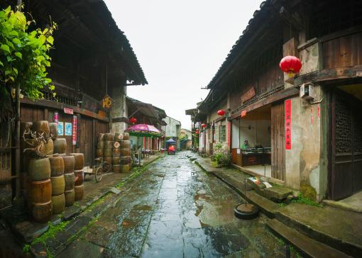 春雨直播app